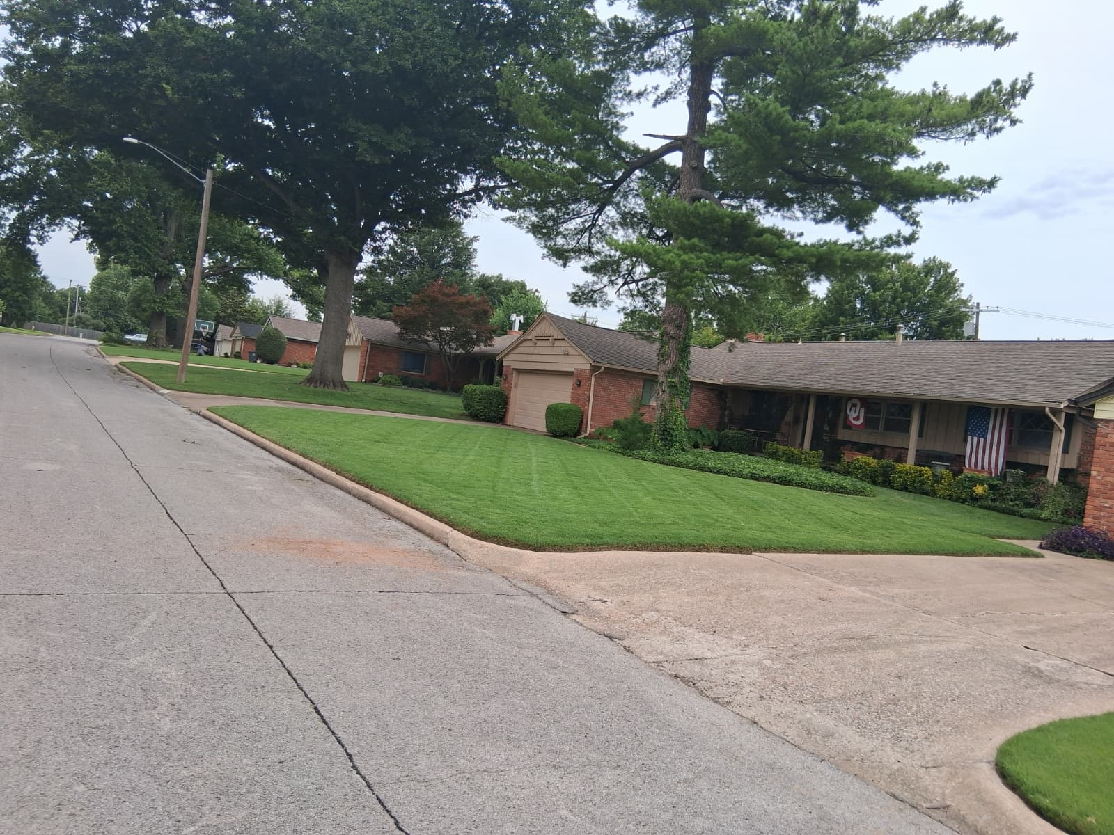 Lawn Maintenance